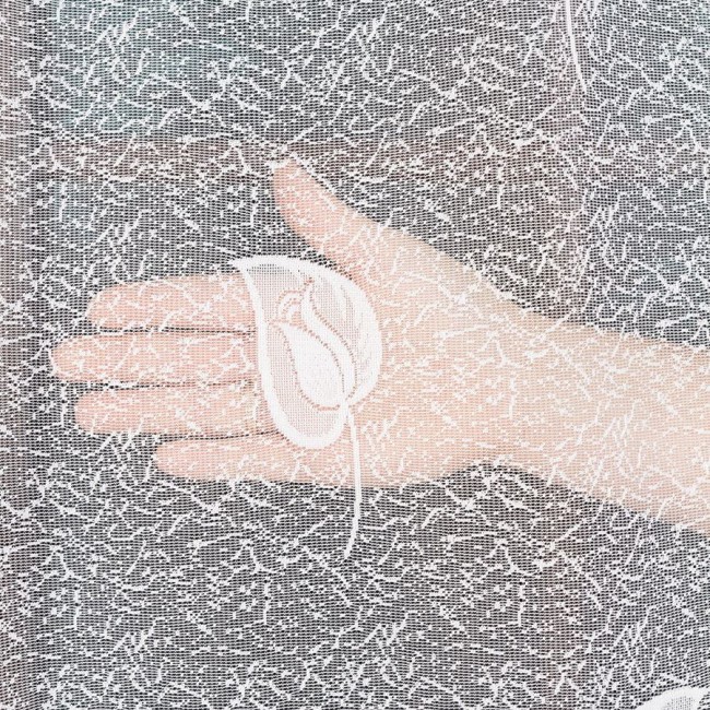 Firana żakardowa w białym kolorze z delikatnym wzorem, o wysokości 250 cm, zawieszona w poziomie. Widoczna ręka trzymająca fragment firany, eksponując szczegóły tekstury i wzoru. Tło jasne, co podkreśla jasny odcień materiału.