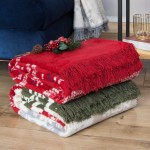 Koc bawełniany 150x200 cm w kolorze czerwonym z frędzlami, leżący na ziemi obok zielonego koca. Na górze dekoracja z gałązką i czerwonymi owocami. Tło w odcieniach niebieskiego i jasnego drewna.