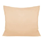 Poszewka satynowa 70x80 w kolorze jasnego beżu, leżąca na jednolitym tle, o gładkiej, połyskującej fakturze. Produkt ma prostokątny kształt, bez widocznych zdobień ani napisów. Idealna do poduszki o standardowych wymiarach.