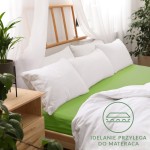 Prześcieradło jersey z gumką w kolorze kaktusowym, w rozmiarze 140x200 cm, leży na łóżku otoczonym białymi poduszkami. Widoczna struktura materiału oraz gumka stabilizująca. W tle jasne firany i rośliny doniczkowe, co tworzy przytulny klimat.