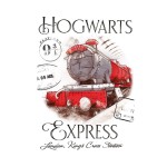 Ręcznik przedszkolny 30x50 cm z wizerunkiem parowozu Hogwarts Express. Dominująca czerwień pociągu z czarnymi i szarymi detalami. Widoczne napisy Hogwarts Express oraz Platform 9¾. Produkt leżący na białym tle.