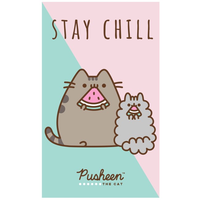  Miękki chłonny puszysty pastelowy ręcznik z kotkiem Pusheen 