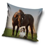 Poszewka dekoracyjna dziecięca 40x40 cm w szaro-brązowym kolorze z grafiką konia i psa. Produkt leży na białym tle, z bliskim ujęciem przedstawiającym detale nadruku oraz teksturę materiału. Idealna dla chłopca i dziewczynki.