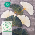 Pościel flanelowa 180x200 Solenne Dark w odcieniach szarości z motywem liści miłorzębu. Miekką fakturę tkaniny podkreślają delikatne, złote akcenty. Produkt rozłożony na szarym tle z białymi i zielonymi elementami wzoru.