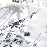 Pościel satyna bawełniana 160x200 Noira w białym kolorze z czarnym i szarym botanicznym wzorem. Zbliżenie na poduszkę z wyraźnym nadrukiem roślinnym, leżącą na gładkim tle pościeli. Wysoka jakość materiału, idealna do nowoczesnej sypialni.