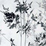 Pościel satynowa 160x200 w kolorze białym, ozdobiona czarnym i szarym botanicznym wzorem. Zbliżenie na detale roślinne, w tym liście i gałązki, na gładkim tle. Produkt leży płasko, co eksponuje wzór i fakturę materiału.