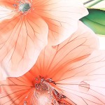 Pościel satyna bawełniana 220x200 Camellia w kremowym kolorze, ozdobiona dużymi pomarańczowymi kwiatami. Widoczny detal płatków i ich tekstura w zbliżeniu. Produkt leży na jednolitym tle.