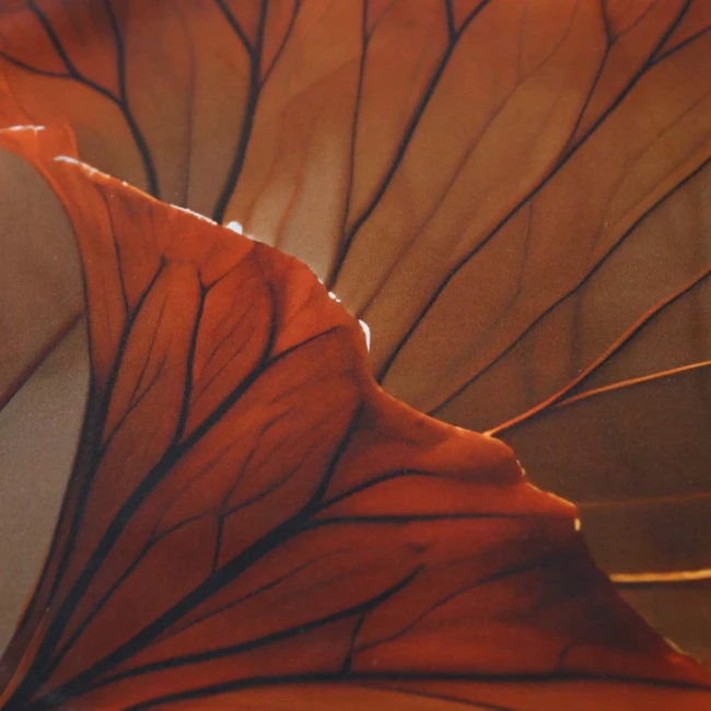 Pościel w kolorze beżowym z wzorem liści, wykonana z satyny bawełnianej. Widok z góry ukazuje detale strukturowych wzorów na tkaninie. Produkt leży na płaskiej powierzchni, w subtelnym otoczeniu, co podkreśla jego elegancję i charakterystyczny wygląd.