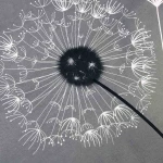Pościel bawełniana 180x200 Dandelion szara w białe i czarne dmuchawce, Cottonlove