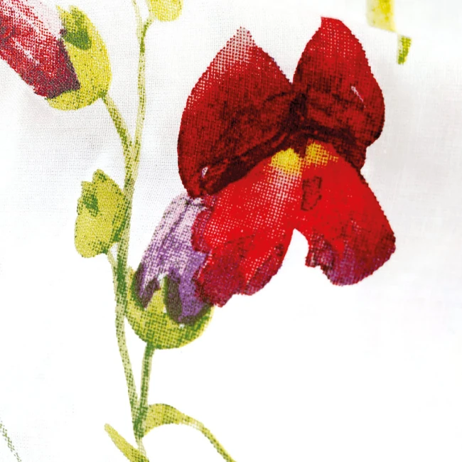Pościel bawełniana 160x200 Wild Meadow biała w kolorowe kwiaty, Cottonlove