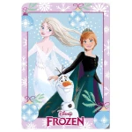 Kocyk dziecięcy polarowy 100x140 Kraina Lodu, Anna Elsa, Frozen, kolorowy