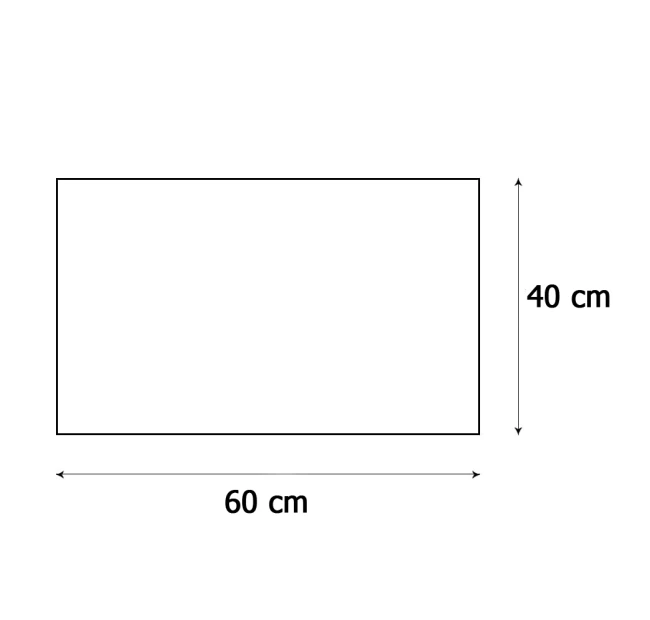 Wycieraczka domowa pod drzwi 40x60 kokosowa, Pies